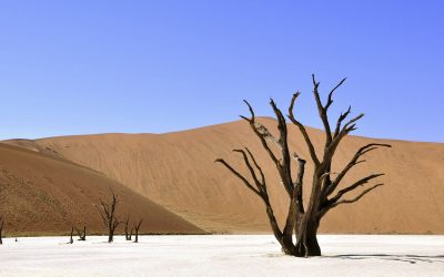 Namibia